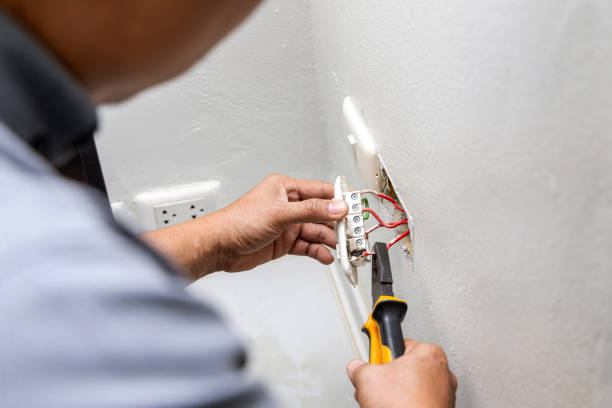 Best Home Electrical Repair  in Taylor Creek, FL